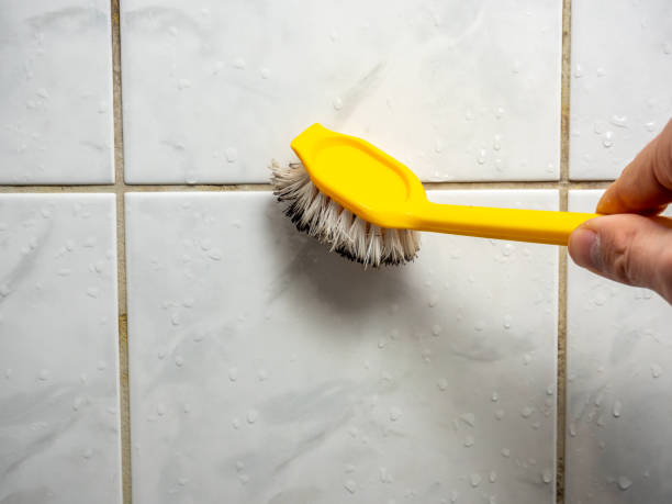 Best Black Mold Removal  in Georgiana, AL