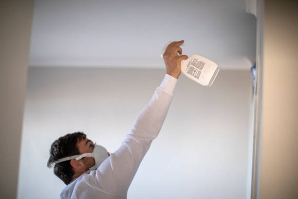 Best Mold Removal Near Me  in Georgiana, AL