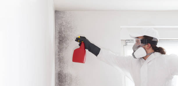 Best Emergency Mold Removal  in Georgiana, AL