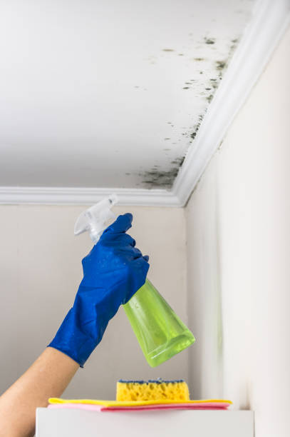 Best Residential Mold Removal  in Georgiana, AL