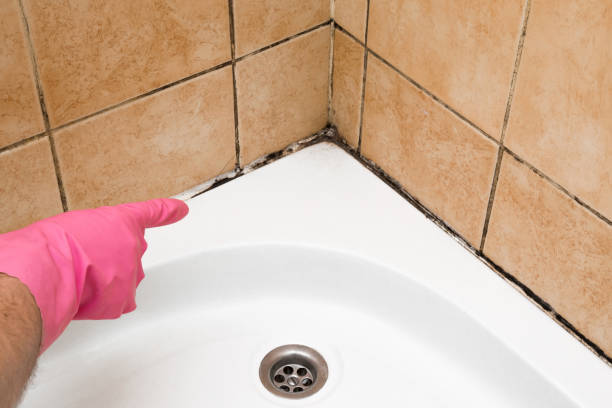 Best Mold Removal Company Near Me  in Georgiana, AL